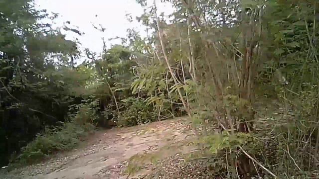Заброшенный отель в джунглях Таиланда (заброшка)