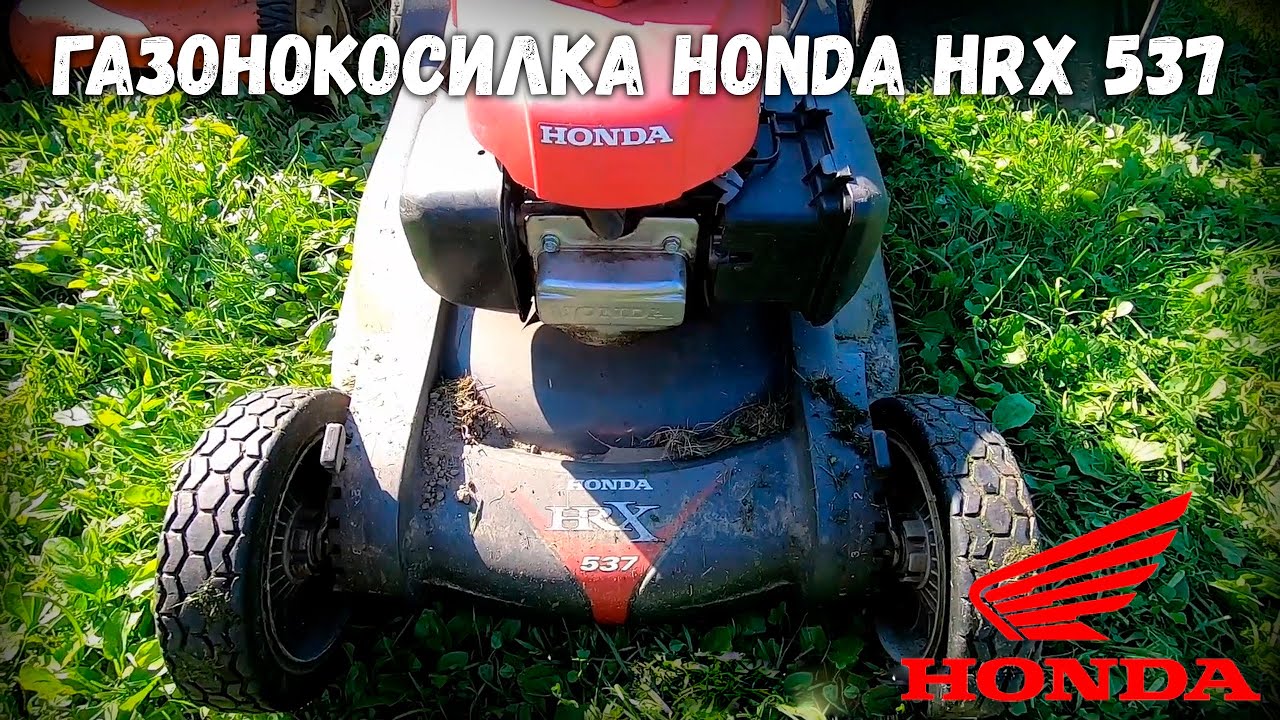 Внятный обзор на газонокосилку HONDA. Главные плюсы и минусы. Чем лучше косить траву на даче?