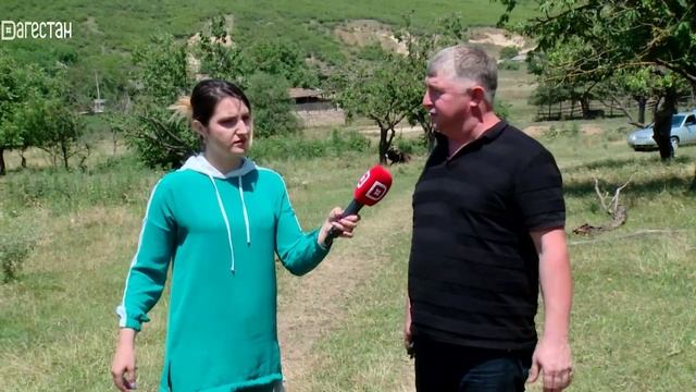 «Аьрщи ва агьлу». «Сельское хозяйство села Новокули»