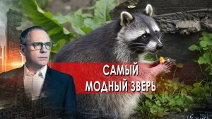 Самый модный зверь. Самые шокирующие гипотезы. (10.02.2022).