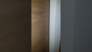 Дверь скрытого монтажа (невидимка) от Волховца. Высота 2.40. Покрытие - натуральный шпон.