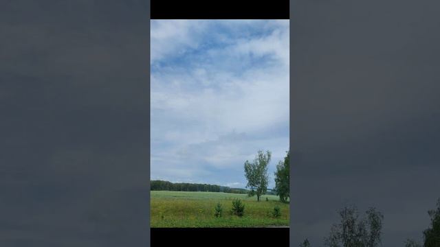 Сибирские просторы