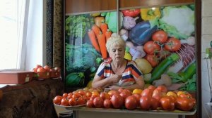 Томат Челнок. Маленький, но очень урожайный сорт! Ранний, неприхотливый! Обзор на улице, дегустация