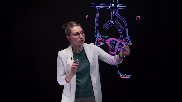 Варикозное расширение вен малого таза и промежностный варикоз.