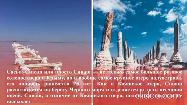 Медиа-обзор "Уникальная природа Крыма"