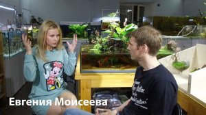 Евгения Моисеева о Питерских акваскейперах, школе аквадизайна и московской птичке