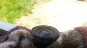 паль динамиков