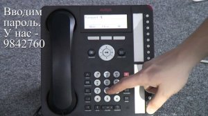 Delta Telecom - телефон Avaya 1616