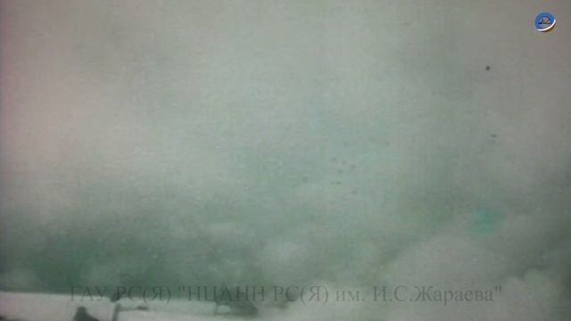 Иванов Николай Евсеевич Документальный цикл «Солдатские истории».mp4