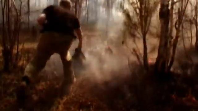 Берегите лес от пожара ч.3 смотреть онлайн