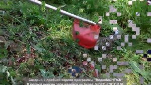 кошение травы в покос триммером