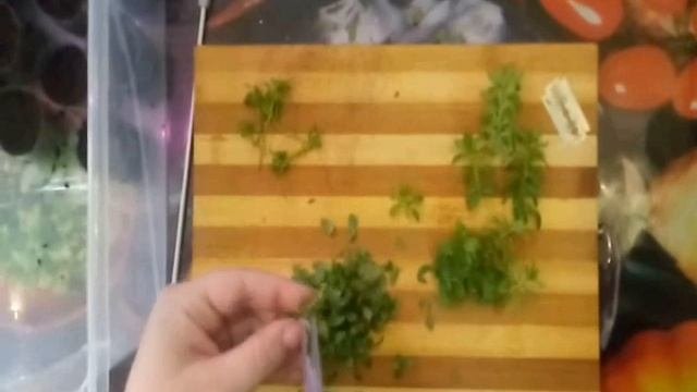 Легко и просто черенкуем и укореняем Калибрахоа
