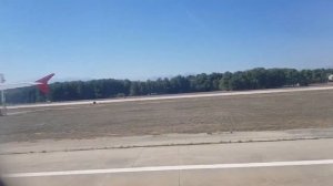 ОТЕЛЬ ЛОКЕАНИКА. ТУРЦИЯ. ПОЛЁТ С СОБАКОЙ. СРЕДИЗЕМНОЕ МОРЕ. ЧАМЬЮВА.В Турцию с собакой