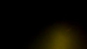 Подводная охота Акуля 2.07.2024