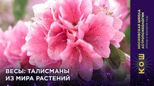 16+ Весы талисманы из мира растений