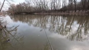 Shimano 16 Aldebaran BFS + шпуля весом 4,5 гр. Тест на водоёме.