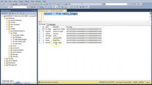 VB.Net - How To Insert Update Delete Search Display Images From SQL SERVER Database  +Code Part 1/7