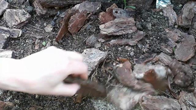 Надёжный тайник на даче, для ключей, за 5 минут. смотреть онлайн