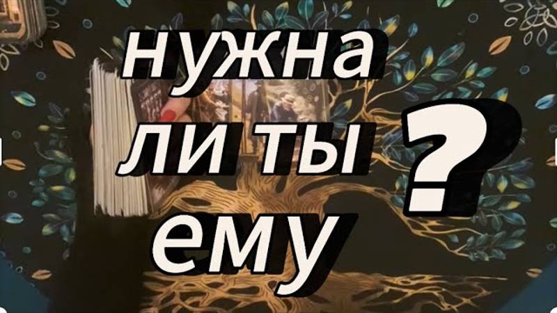 Его истинные чувства‼️ #тарораскладотношения #таробудущиймуж #тарообучение