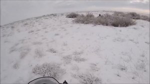 ДОБЫТЬ МАТЕРУЮ ВОЛЧИЦУ. охота на волков hunting wolves