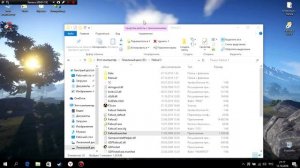 Как запустить Fallout3 на Win 10?(пиратка)Как решить проблему с вылетом Fallout3?