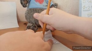 Как сшить басику тапочки