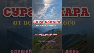 Красивое чтение Корана Сура Бакара для успокоение души слушайте каждый день перед сном.