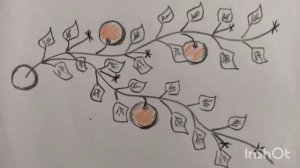 Для чего формировать тыкву? Как и когда формировать тыкву?Прищипывание тыквы в открытом грунте