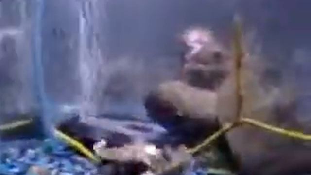 Пираньи и завтрак смотреть онлайн