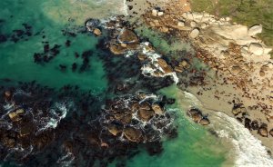 Море, на него можно смотреть бесконечно, это  бальзам для души.