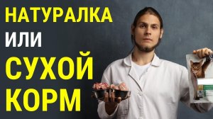 Какие преимущества натуралки перед сухим кормом? Рассказывает ветеринар Дмитрий Русаков.