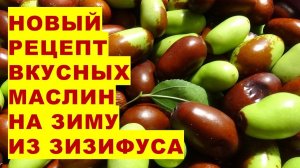 Заготовка на зиму очень вкусных маслин из ягод зизифуса по рецепту наших подписчиков