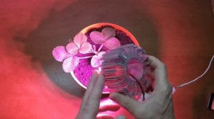 Как сделать фитолампу для растений своими руками из светодиодов полного спектра.