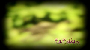 Первый Аквариум травник.