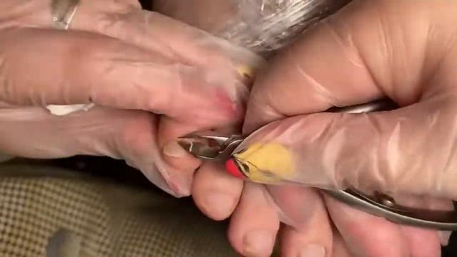 Мужской педикюр смотреть онлайн