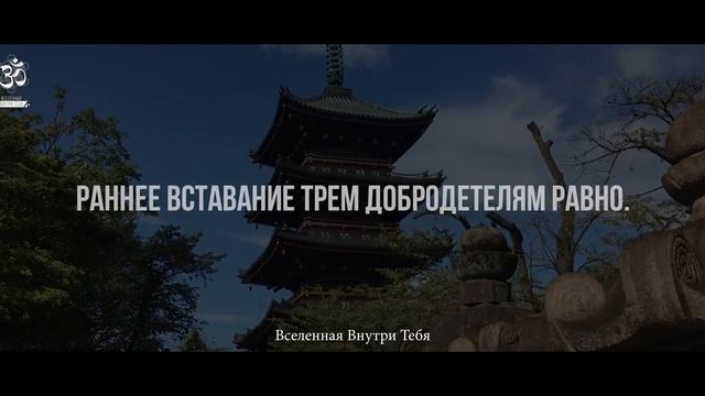 Мудрые японские пословицы и поговорки