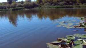 Рыбалка на Малышевском озере