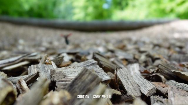 Sony ZV-1 II | The Next Generation Of Content Creator's Camera