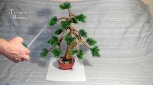 Искусственный бонсай. Сосна. Artificial bonsai.