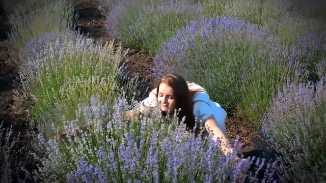 Прованс в Харьковской области. Лавандовое поле. Provence à Kharkov. Le champ de lavande. смотреть онлайн