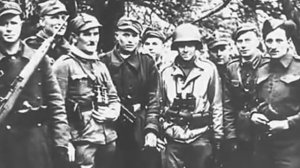 Расшумелись ивы плакучие