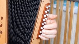 Сербиянка(примитивный вариант,как играть на гармони)