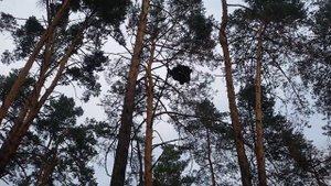 Порча на разорение врага