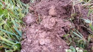 КОПАЕМ в Большом Козино Нижегородской области XP DEUS