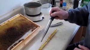 Простейший способ получения маточников