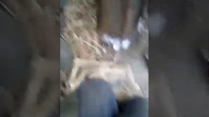 Оторвало нижнее крепление переднего амортизатора на Ниве