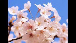 Выставка рисунков"Весеннее настроение"