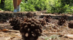 Надежда Кондрашова - песня "ПАУТИНКА"