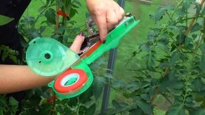 Тапенер.  Степлер для растений.