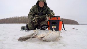 ПРИКОРМИЛ СУХАРЯМИ и ДЕЛО ПОШЛО.Ловля на ЧЕРТИК.Рыбалка на ОБИ.Безмотылка.